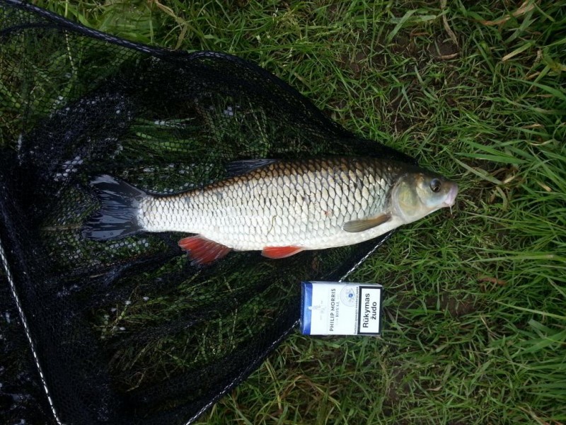 20140618_135429.jpg