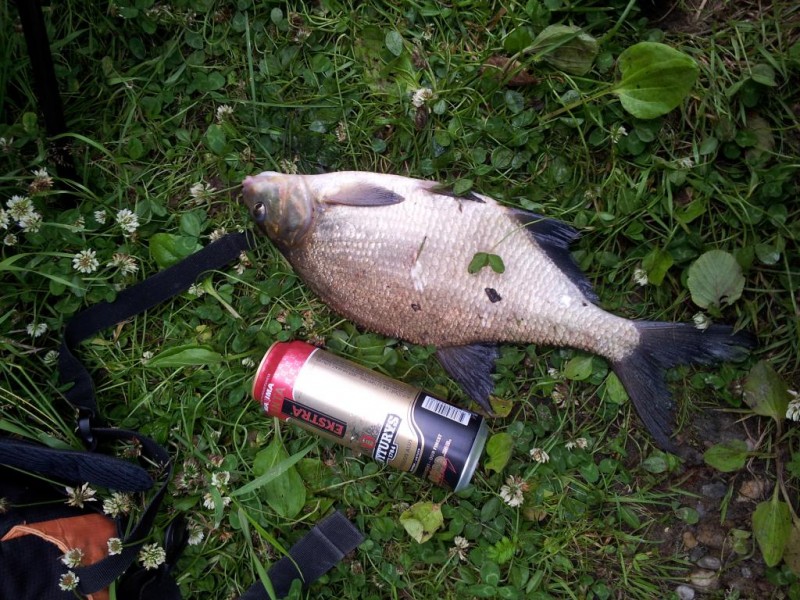 20140704_185109.jpg