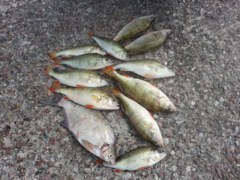 20140715_140423.jpg