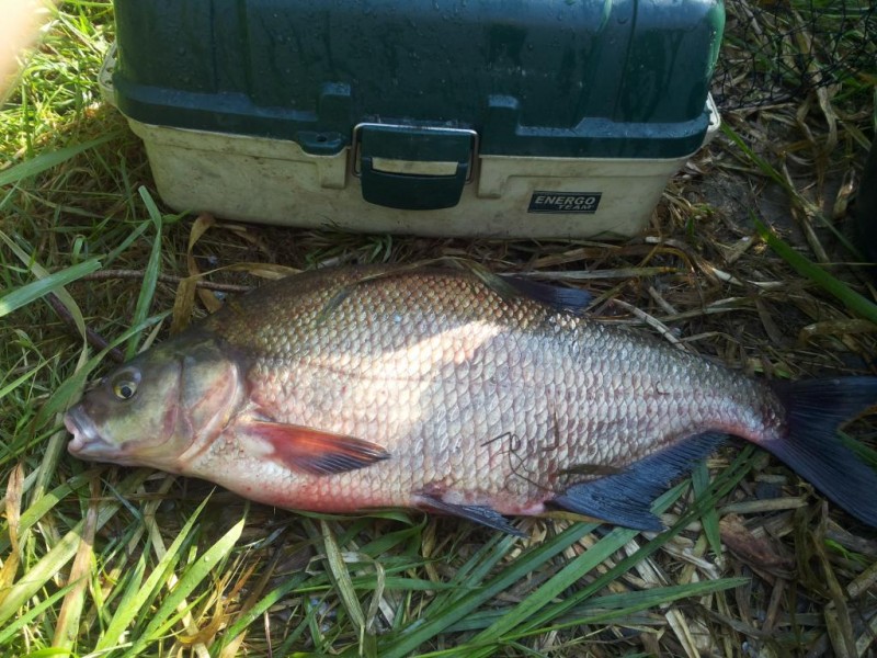 20140718_083151[1].jpg