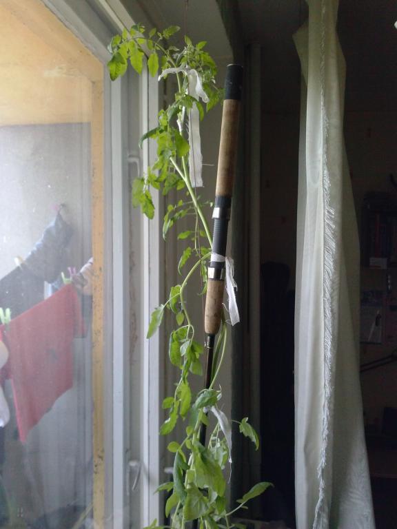 CAM01083.jpg