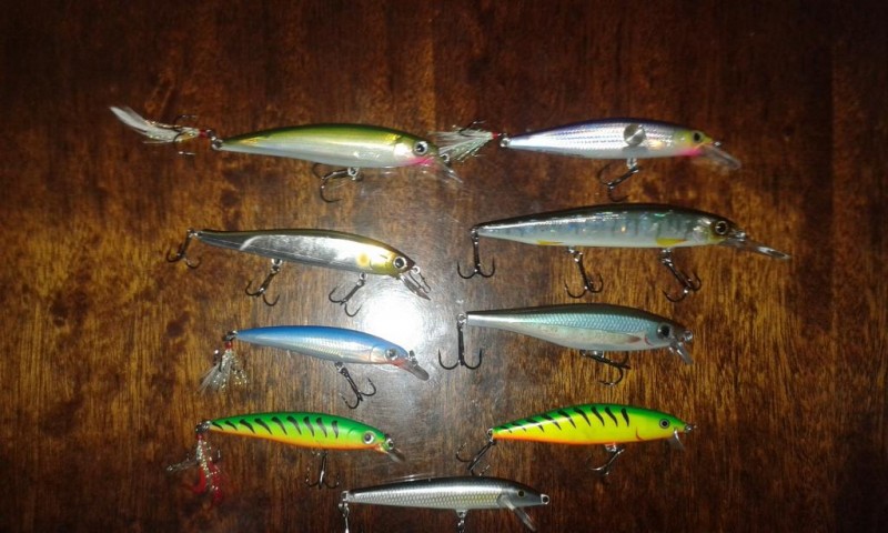 20140723_140543.jpg