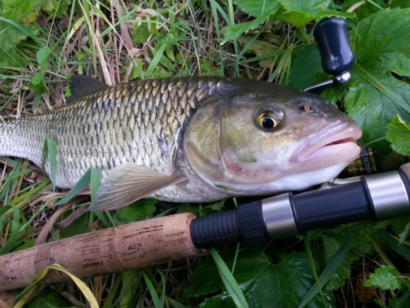 20140729_073507.jpg