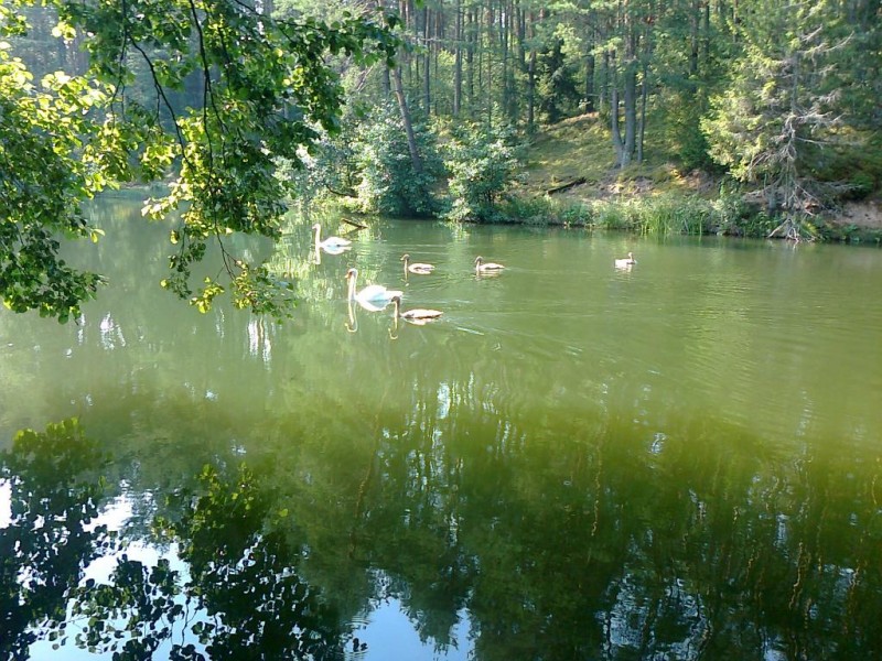 Nuotrauka0890.jpg