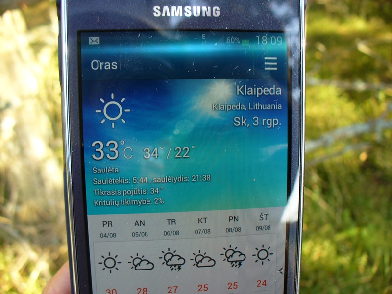 010.JPG