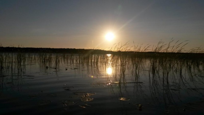 20140731_205140.jpg