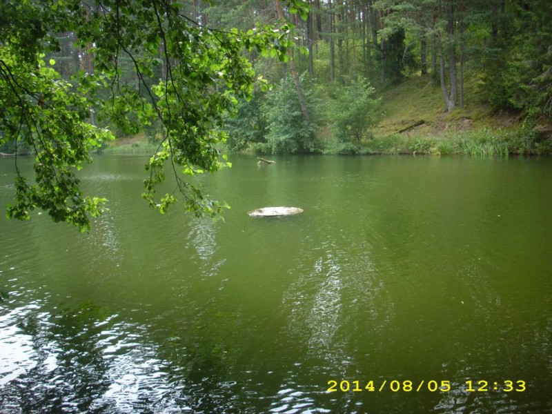 DSCI0736.JPG