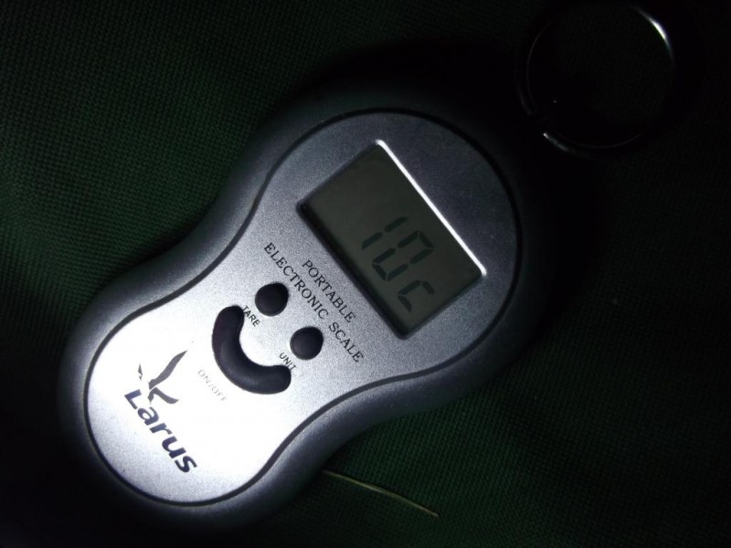DSCF2684.jpg