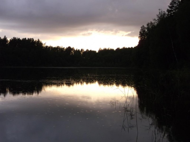 DSCF2687.jpg