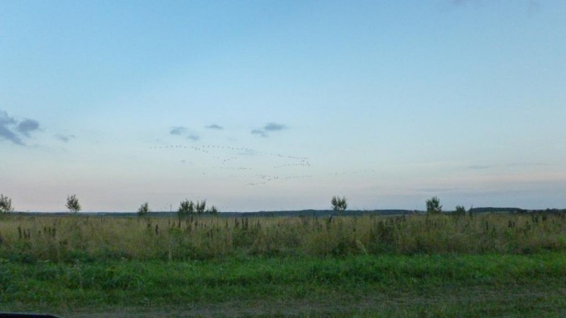 P1080724.JPG