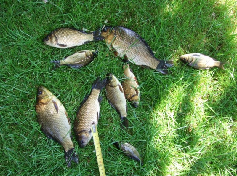 DSCF5517.JPG