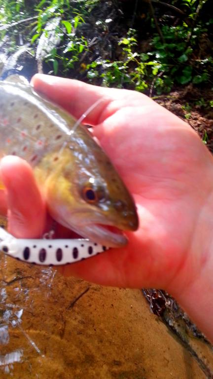 20140819_085752.jpg