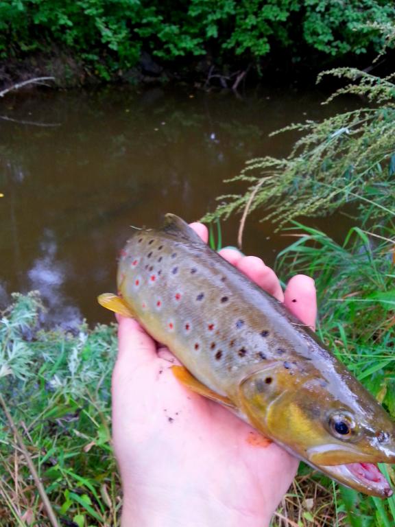 20140820_131618.jpg