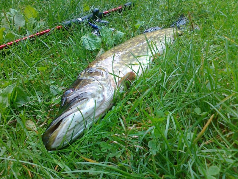 20140825151.jpg