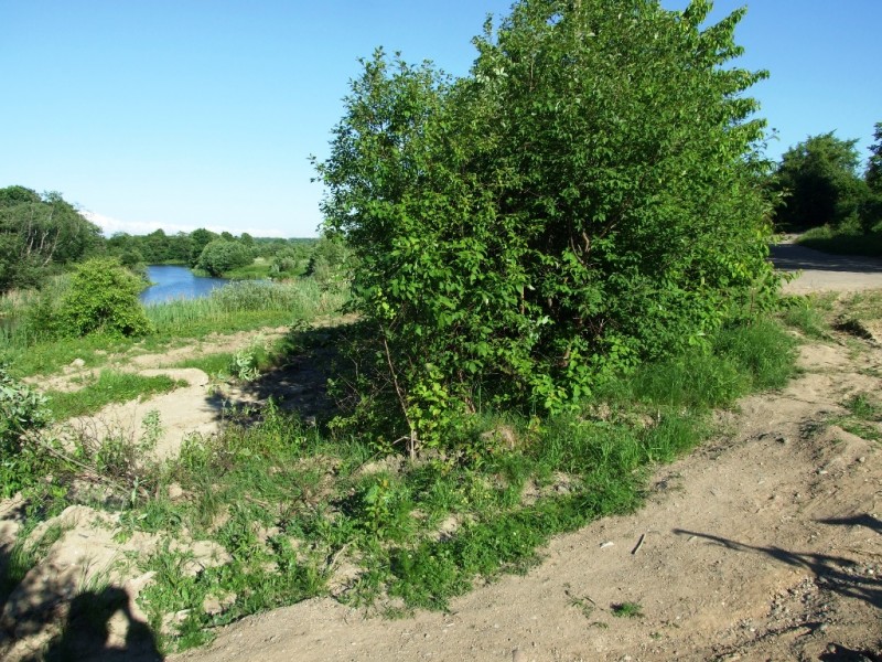 DSCF5525.JPG