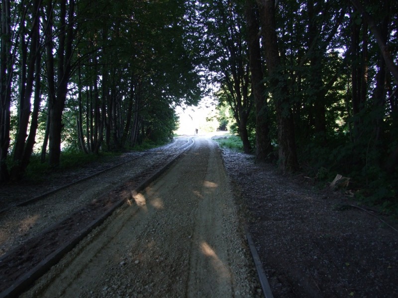 DSCF5528.JPG
