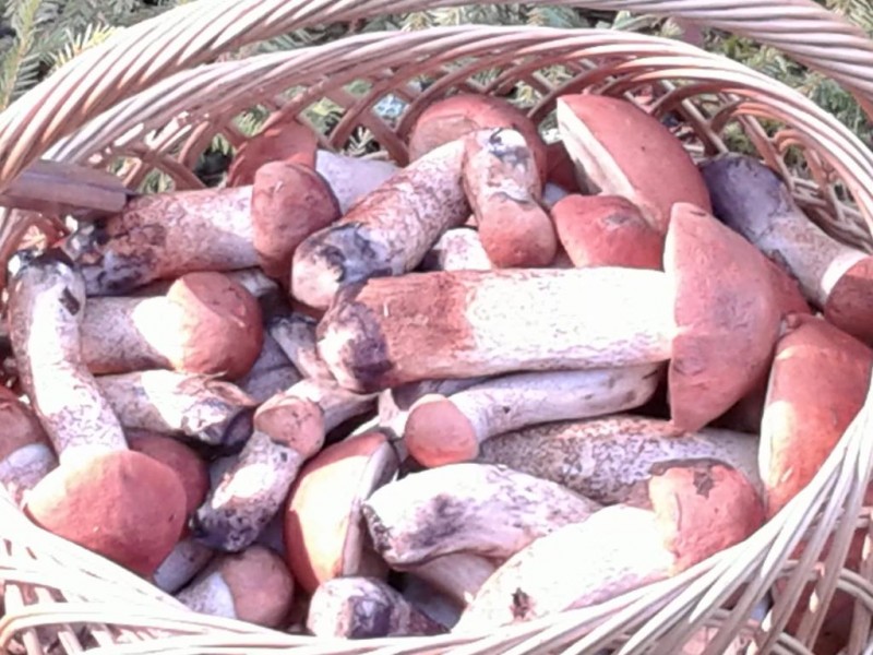 20140826_101347.jpg