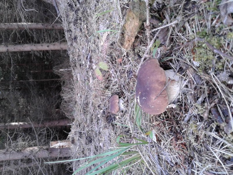 20140826_114838.jpg