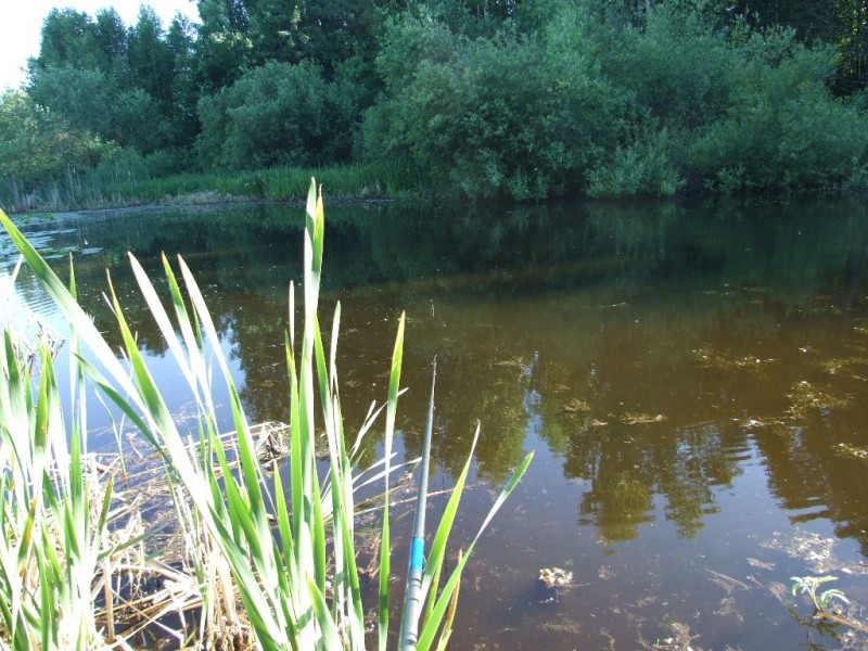 DSCF5533.JPG