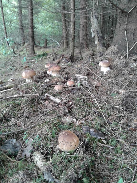 20140828_111717.jpg