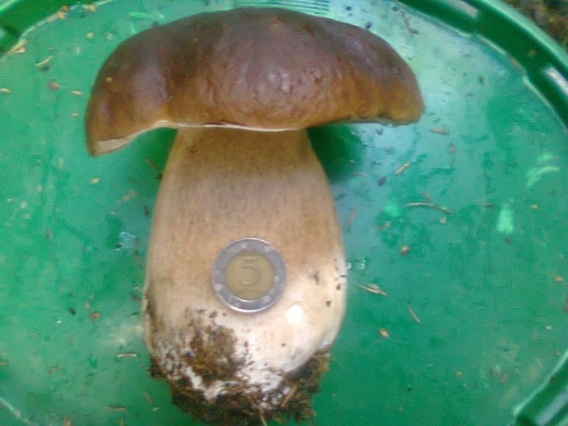 Nuotrauka0103.jpg