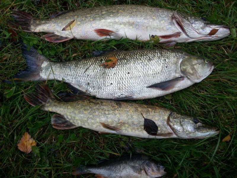 20140824_163706.jpg