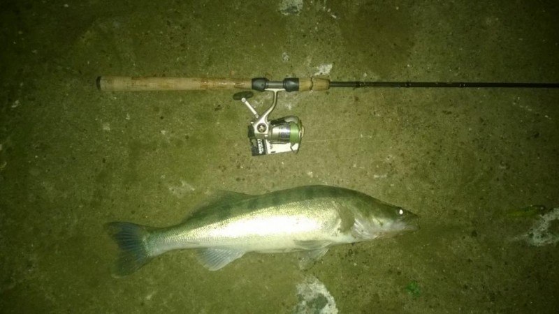 WP_20140903_001.jpg