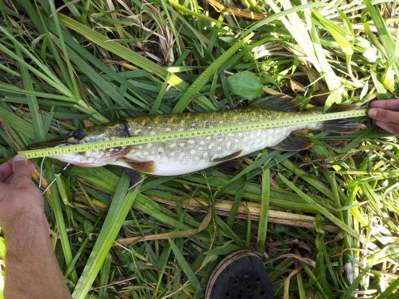 20140913_143159.jpg