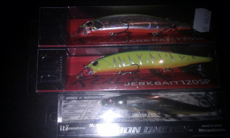 IMAG0410.jpg