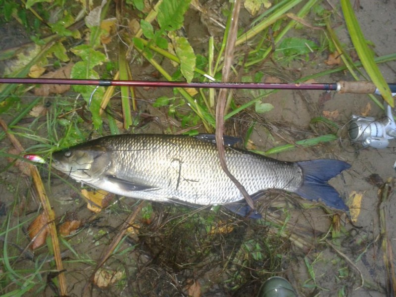 20140919_192911.jpg