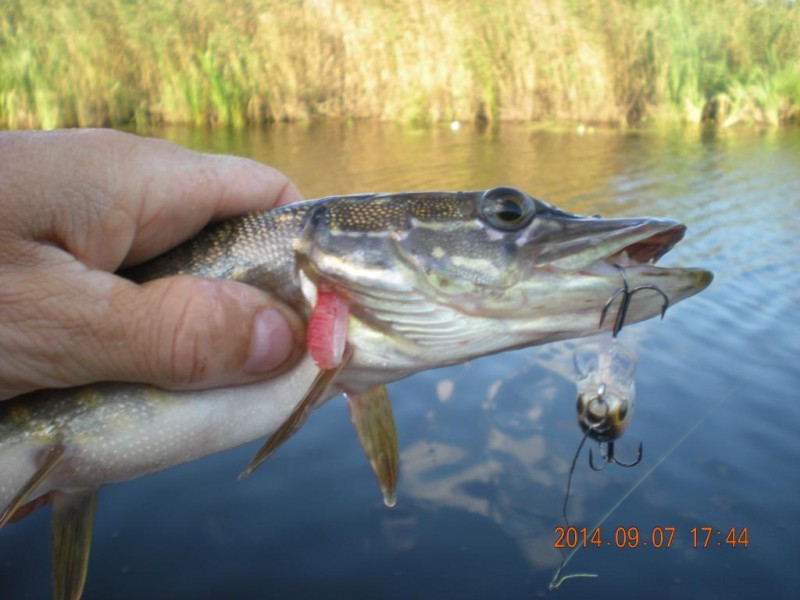 DSCN4799.JPG