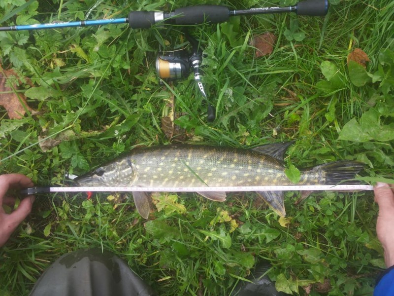 20140927_112828.jpg