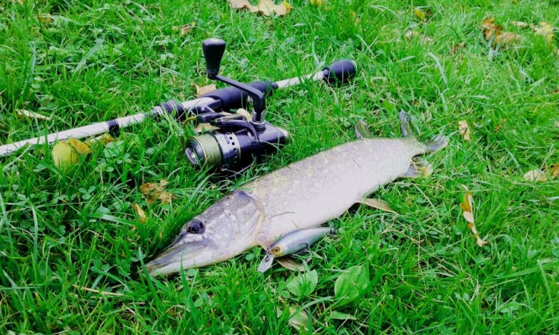 20141008_171040.jpg