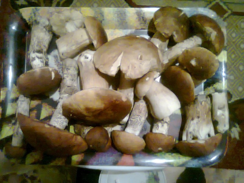 Nuotrauka0116.jpg