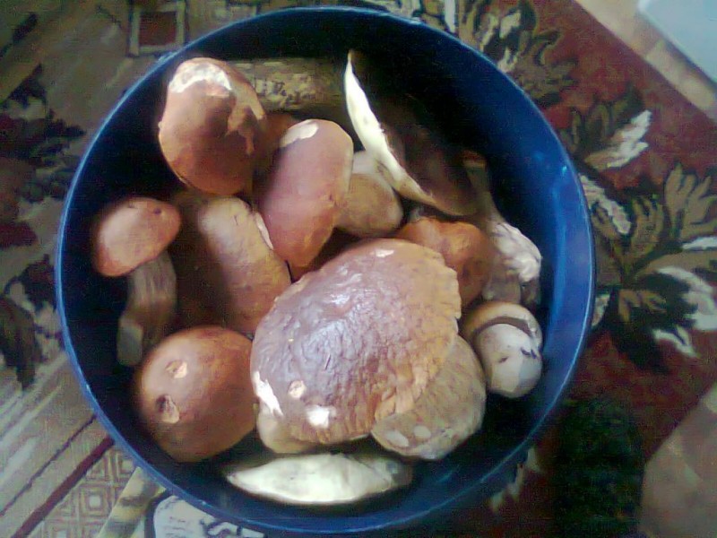 Nuotrauka0123.jpg