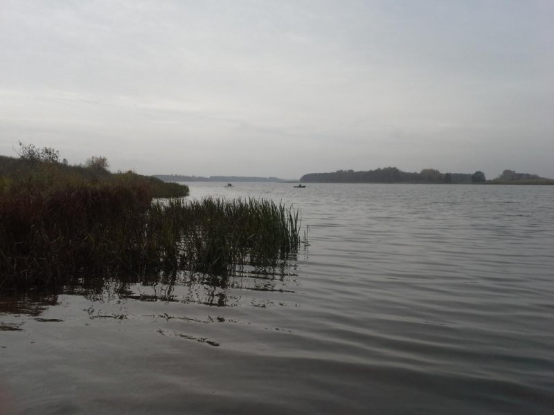 20141011_104006.jpg