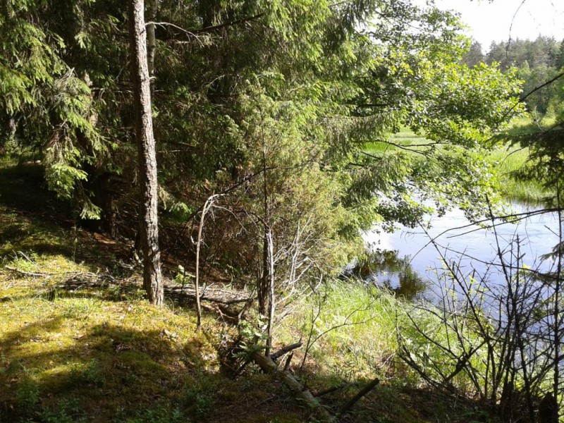 2013-06-13 16.54.28.jpg