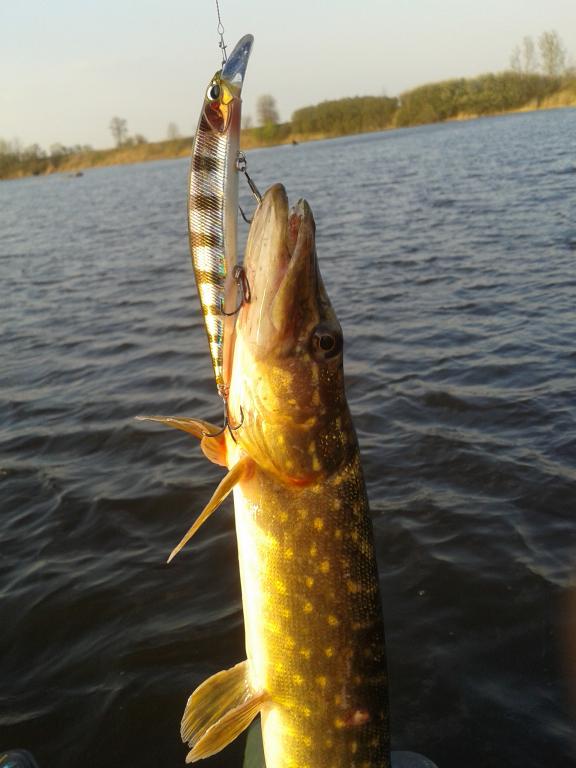 20140420_185619.jpg