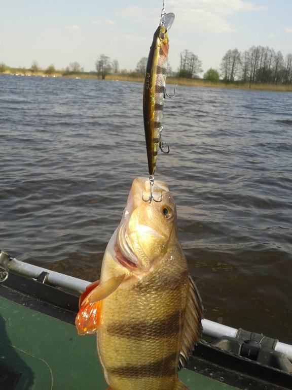 20140420_155043.jpg