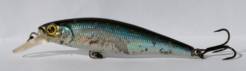 Squad minnow 65 sp.JPG