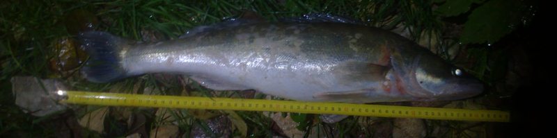 20141011-8.jpg