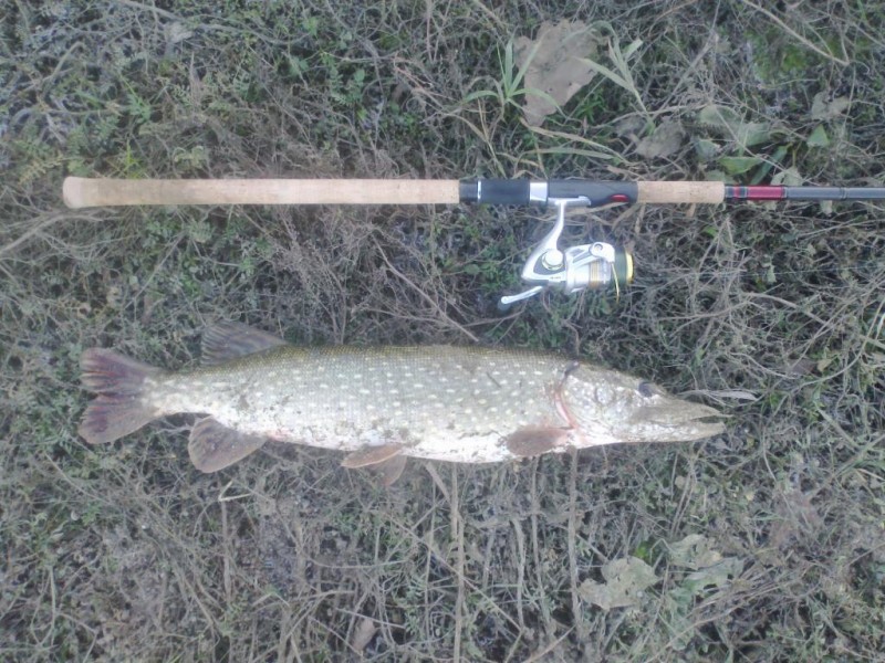 20141024.jpg