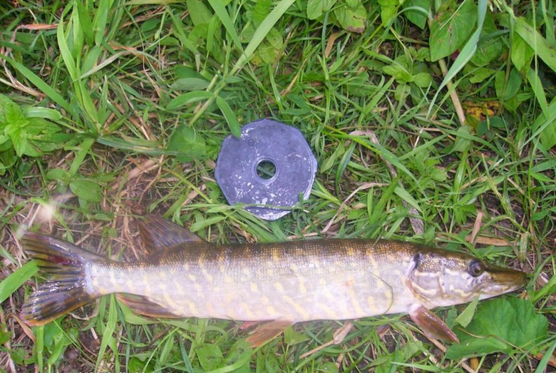 HPIM0876.JPG