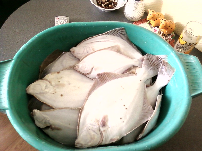 Nuotrauka0083.jpg