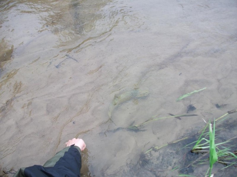 DSCF3378.JPG