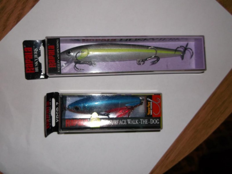 DSCF3260.jpg