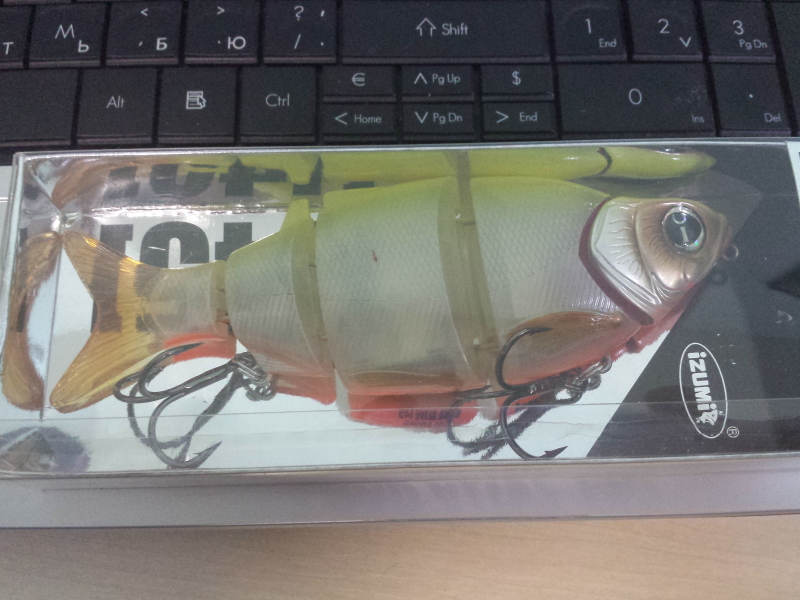 IZUMI SHAD ALIVE 145.jpg