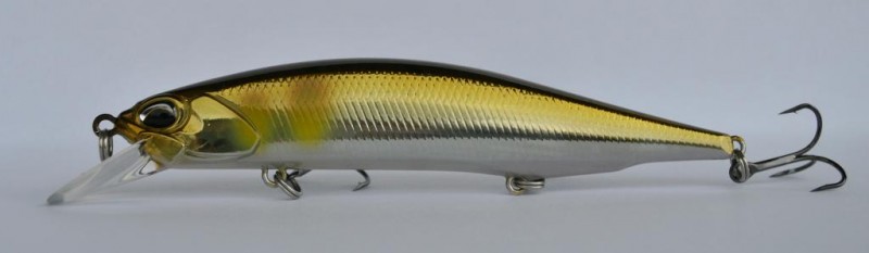 Duo Realis 110 sp.JPG
