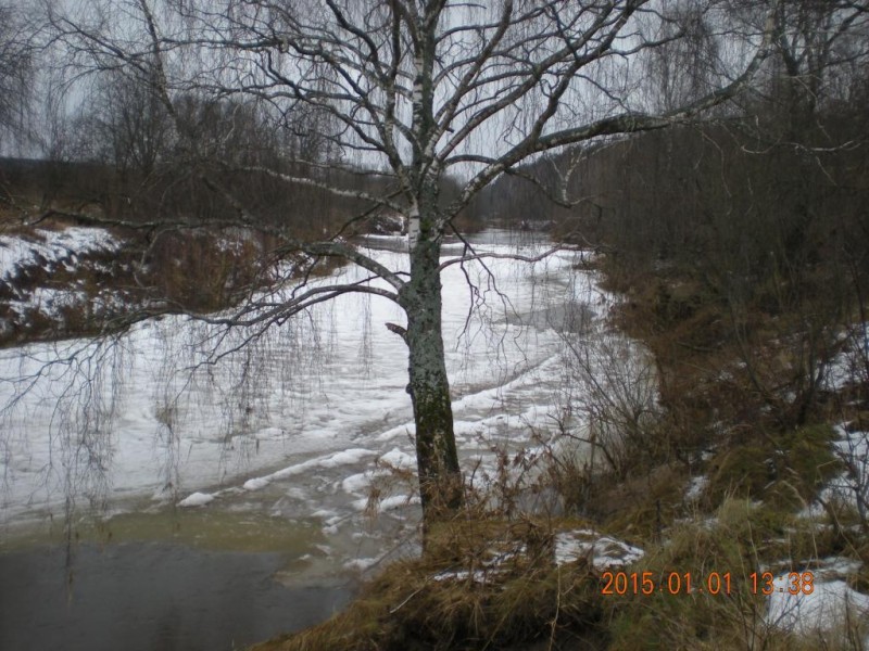 DSCN4911.JPG
