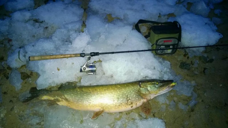 WP_20150102_001.jpg